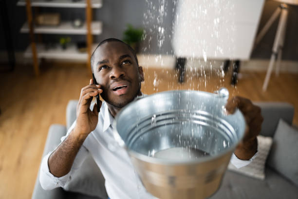 Best Water damage cleanup near me  in Hines, OR