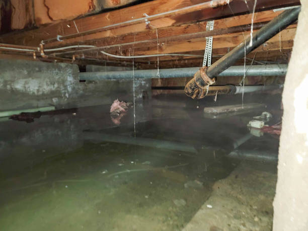 Best Flood damage cleanup  in Hines, OR