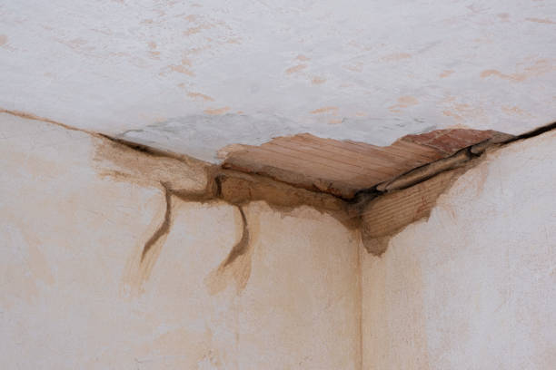Trusted Hines, OR Water damage restoration Experts