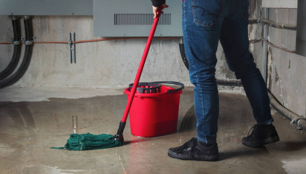Best Carpet water damage restoration  in Hines, OR