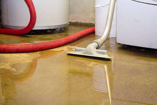 Best Water damage restoration experts  in Hines, OR