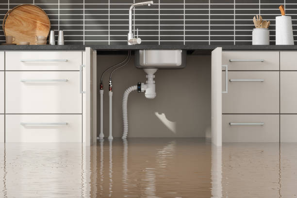 Trusted Hines, OR Water damage restoration Experts